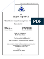 Final Project Report