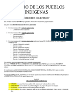 Derecho de Los Pueblos Indigenas