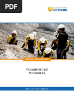 06 - Yacimiento de Minerales - Tgeo