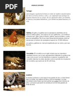 Animales Oviparos, Viviparos y Ovoviviparos