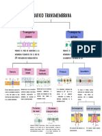 Transporte Transmembrana