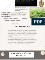 Proyecto de Cultivo de Cebada