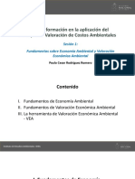 Fundamentos Sobre Economía Ambiental y VEA