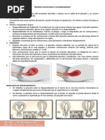 21 Periodo de Alumbramiento