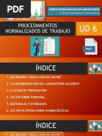 Ud 6. - PNT (Procedimientos Normalizados de Trabajo)