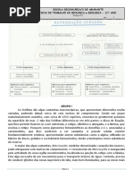 Ficha Nº5 Ciclos de Vida