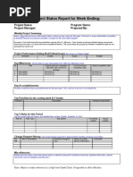 Project Status Report