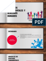 Para Exposición - Derechos Fundamentales y Humanos.