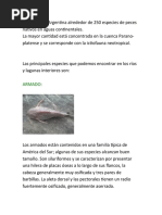 Existen en La Argentina Alrededor de 250 Especies de Peces Nativos en Aguas Continentales