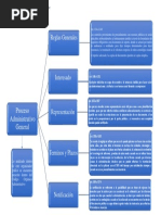 Organizador Grafico