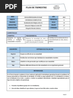 8°-Plan Trimestral-Iii Año 2022