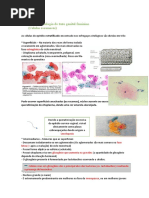 Citopatologia Do Trato Genital Feminino