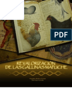 Revalorizacion de Las Gallinas Mapuche