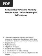 Comparative Vertebrate Anatomy Lecture 1