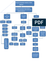 Mapa Conceptual Sistema Nervioso