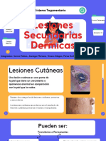 Lesiones Secundarias Dermicas