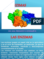 4 Enzimas 2022-I Agro.