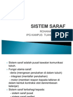 Sistem Saraf