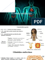 Sistema Endócrino