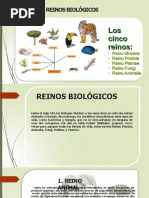 Reinos Biológicos .