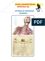 Apostila Dna Anatomia 02 Color