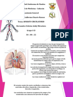 Expo SistemaCirculatorio