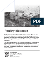 Poultry