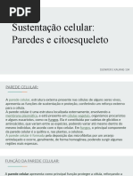 Sustentação Celular - Paredes e Citoesqueleto