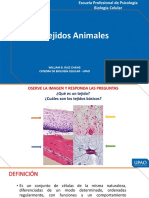 Sesión 11 - Biología Celular