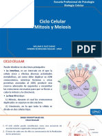 Sesión 10 - Biología Celular