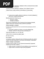 Sistema Adrenergico y Colinergico