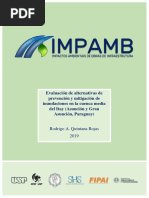 Evaluación de Alternativas de Prevención y Mitigación de Inundaciones en La Cuenca Media Del Itay (Asunción y Gran Asunción, Paraguay)