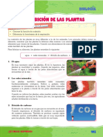 Bio - 4° - 2021 (Tema 1) - La Nutrición de Las Plantas