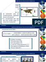 Presentacion Ley de Corte