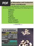 4.3 Modes of Absorption and Conduction of Water