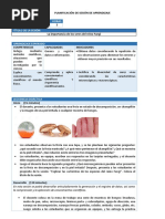 Sesión Importancia de Los Seres Del Reino Fungi