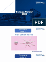 Biología Celular Ciclo Celular Meiosis 14 16