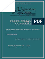 Tarea Semana 4 (Consomes) - Michel Antonio Malaga Pinzon