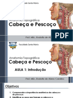 AULA 1 - Introdução À Anatomia Topográfica Da Cabeça e Do Pescoço