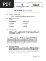 Resumenejecutivo 170714224723