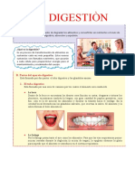 La Digestion 5º