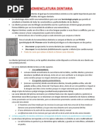 Nomenclatura Dentaria