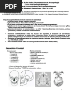 Guía Osteologia 2018.20