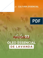 Aula 03 - Lavanda