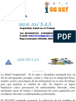 Diapositivas SG - Sst.