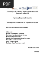 Comisiones de Seguridad e Higiene