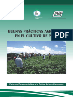 Cultivo Papa Cajamarca 2013