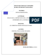 Ensayo Importancia de La Profesión de Enfermería en La Sociedad.