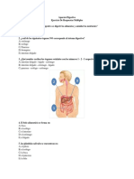 Aparato Digestivo