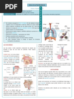 Ficha de Autoaprendizaje SISTEMA CIRCULATORIO